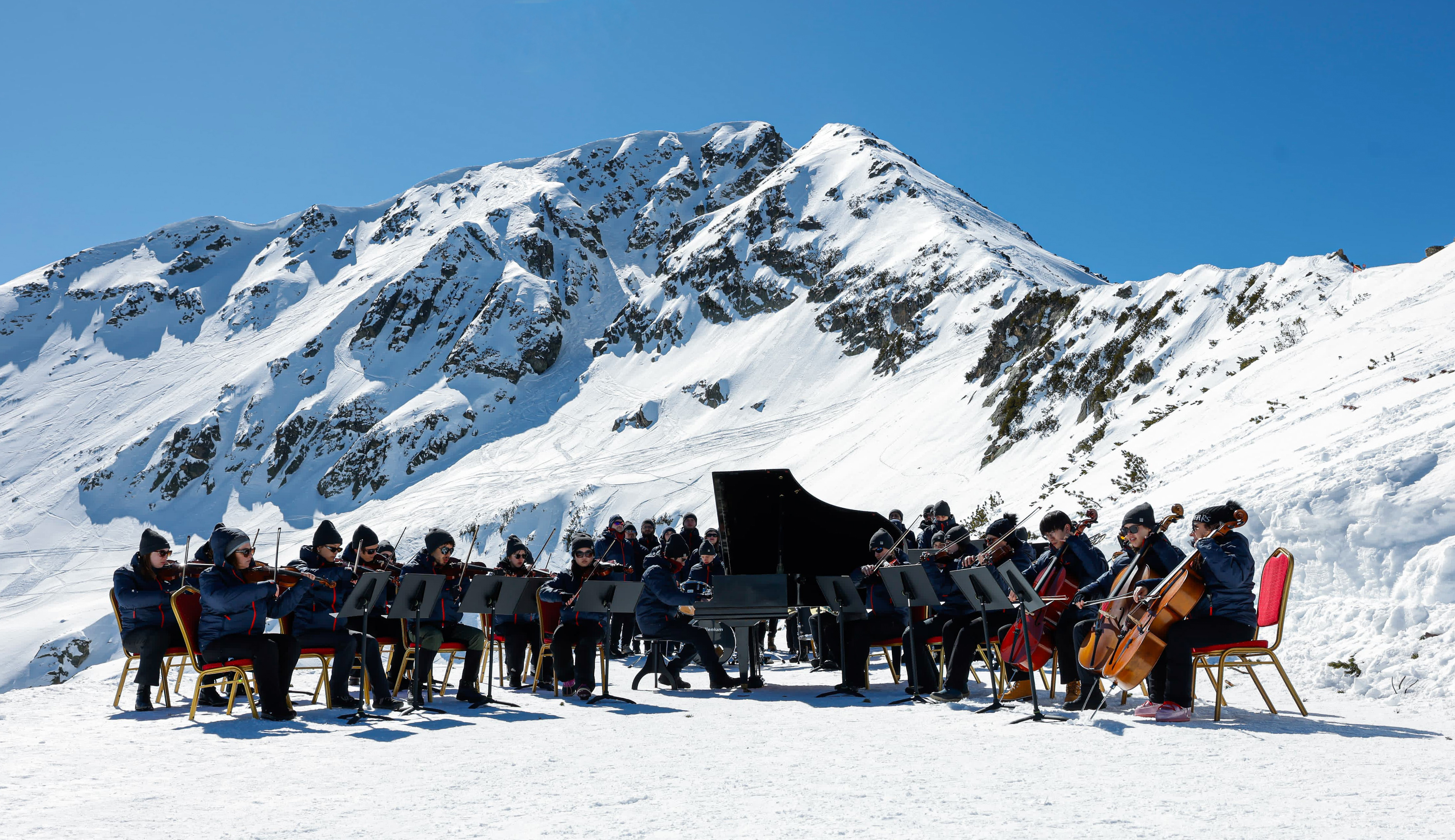 Protectors of the Earth Filmplakat